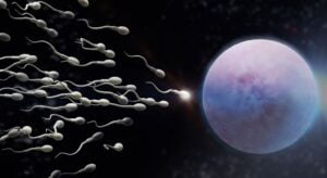 Sperm Sayılarını Artıran Yiyecekler Nelerdir? İşte Sperm Artırıcı 10 Yiyecek!