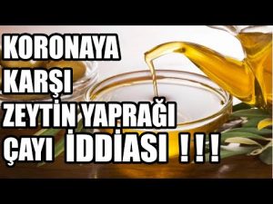 Zeytin Yaprağı Çayı Nasıl Yapılır | Koronavirüse İyi Gelen Zeytin Yaprağı Çayı Yararları Nelerdir