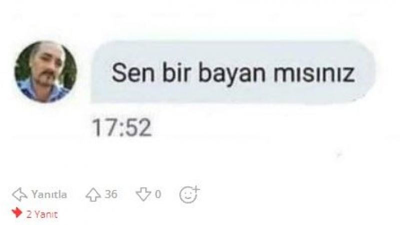 Sen Bir Bayan Mısınız?