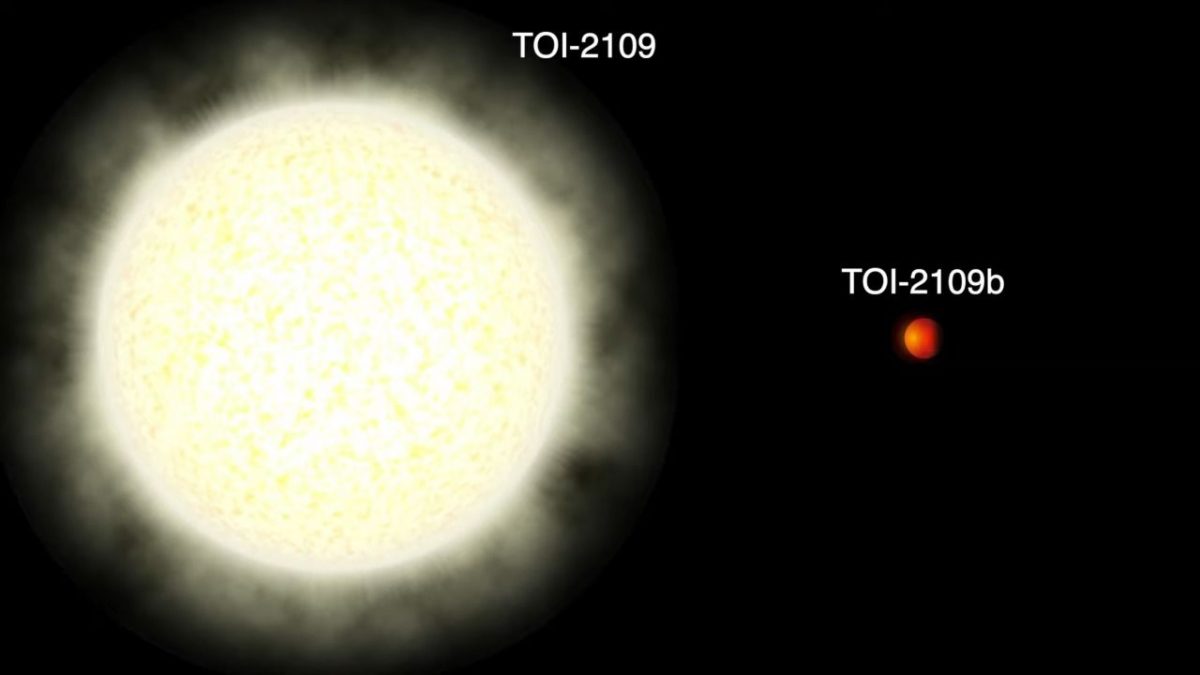 Otegezegen-toi-2109b-9.jpg