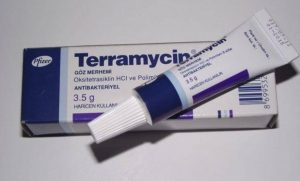 Terramycin Göz Merhemi Nedir? Terramycin Göz Pomadı Nasıl Kullanılır? Terramycin Fiyatı 2021