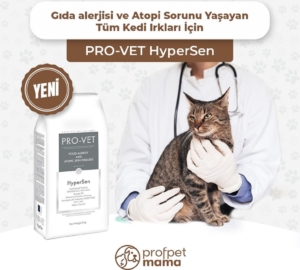 Hipoalerjik Kedi Maması Nedir?